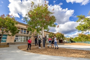 Cour d'école végétalisée
